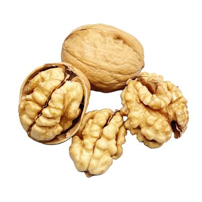 China Xinjiang Factory Supply Best Quality Most Competitive Walnut Inshell 185 Dried Walnuts Washed And Unwashed, 30mm, 32mm, 34mm, for sale