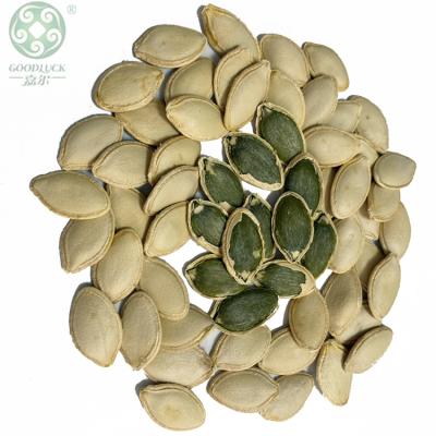 China Good quality dry shine skin pumpkin seeds pruning on sale for sale