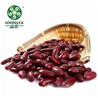 China DRY RED KIDNEY BEANS, wholesale price, factory supply, origin from China for sale