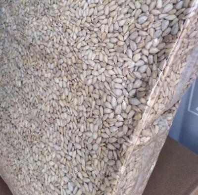 China Dried sunflower seeds without pods for sale