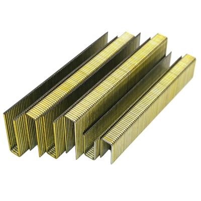 China Heavy Duty Wire Flat Industrial Nail Staples 14 Series Gold Upholstery Staples for sale