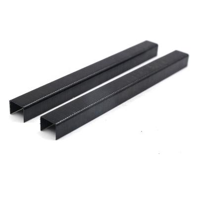 China Staples No.10 Black Wire 20Ga Sofa Furniture Staple 6mm Length Flat Strip Staples for sale