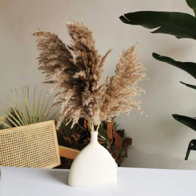 China Ynnan TaoXi home decor high quality natural small pampas thatch natural dry pampas grass for bouquets and home decoration for sale