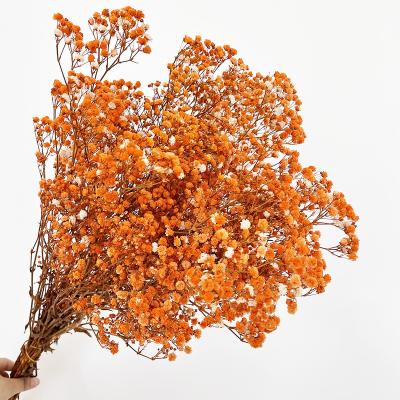 China Wholesale high quality home decor babysbreath preserved flower to wedding design for sale