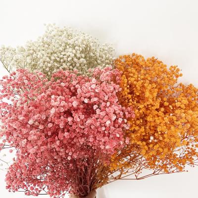 China Babysbreath Bouquet of Gypsophila Indoor Decoration Natural Dry Preserved Baby's Breath Flowers Wedding Decoration for sale