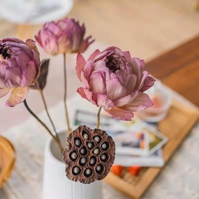 China Home Decor Real Natural Dry Lotus Flower for sale