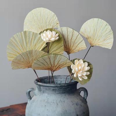 China Natural Home Decor Real Leaves Dried Lotus Leaf for sale