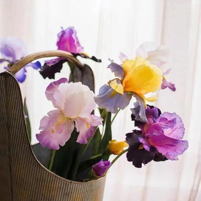 China Natural touch factory direct sales of high quality wedding artificial iris bouquet home decoration flower centerpiece iris for sale