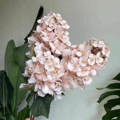 China Wholesale Artificial Natural Touch Hydrangea Faux Flower Ball For Wedding Arrangement for sale