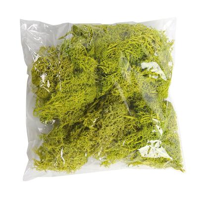 China Hot Selling Handmade Natural Fresh Rose Material Package Preserved Bulk Natural Preserved Moss Moss For DIY Decoration for sale