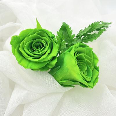 China Natural Fresh Rose TAOXI Rose Head Plant A Grade 4-5cm Heads Preserved Natural For Flower Arrangement for sale