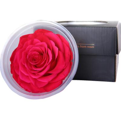 China Hot Sale Natural Fresh Rose 9-10cm Grade A 2022 YunnanTaoxi Rose Head Natural Preserved For Women Valentine's Day Present for sale