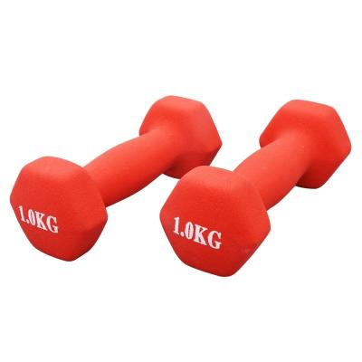 China Gym Weight Lifting Accessory Small Dumbbell Home Use Dumbbell Set Online for sale