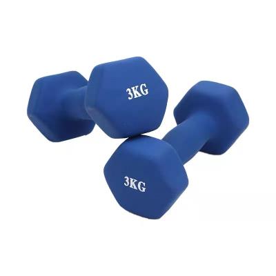 China Universal Home Use Dumbbell Factory Dumbbell Custom Color Plastic Coated Dip Dumbbell for sale