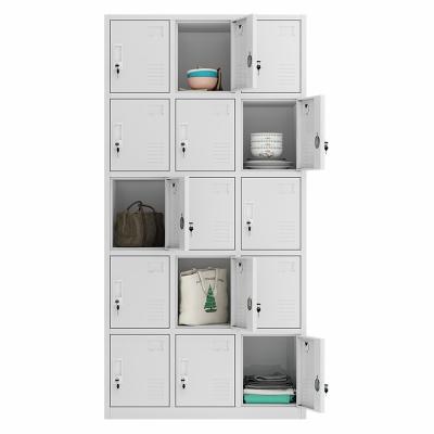 China Knock Down Steel Cabinet Closet Design 15 Doors Modern Gym Wardrobe Locker Employees Staff Clothes for sale