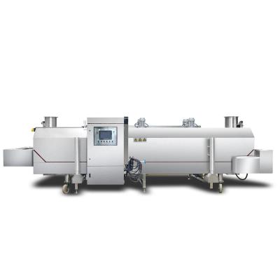 China DJL fruit liquid nitrogen iqf fruit tunnel freezer/fruit freezing equipment for pineapple kernels for sale