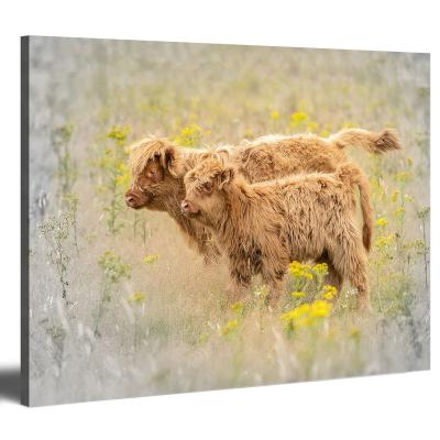 China Modern Canvas Animal Picture Original Art Print Giclee Highland Cow Oil Paintings For Bedroom for sale