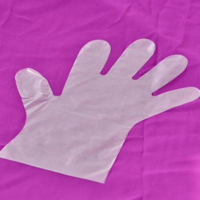 China Dish Washing Food Preparing Disposable Plastic Gloves for sale