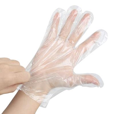 China Waterproof PE LDPE Disposable Plastic Gloves for sale