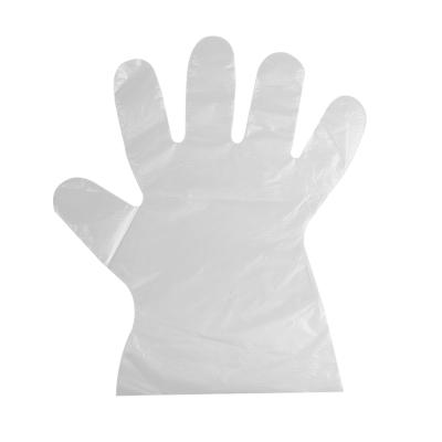 China Dish Washing Disposable Plastic Glove Pe Restaurant Food Gloves for sale