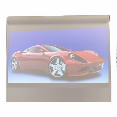 China Self Adhesive Projection Film Advertising Holographic 3D Rear Adhesive Projector Screen For Store Window for sale