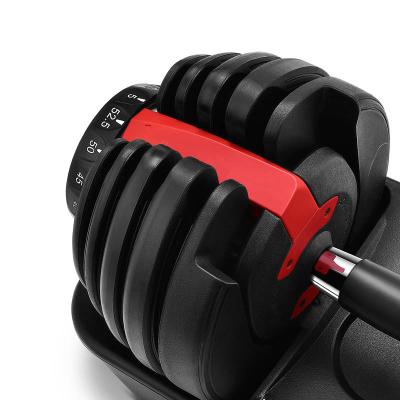 China Dumbbell Disc Dumbbell Set Exercise Custom Black Weight Selective Dumbbell for sale