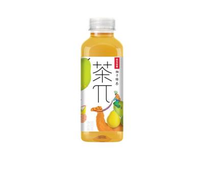 China Natural Manufacturers Wholesale Nongfu Spring 500ml*15 Bottles Green Tea 500ml Fruity Tea Grapefruit for sale