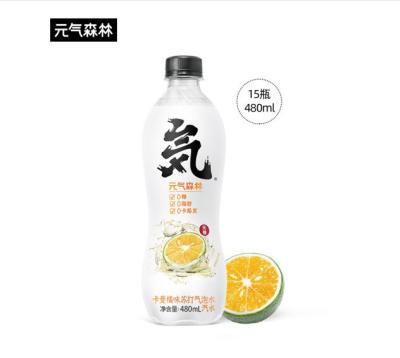 China Yuanqi normal Forest Sparkling Water 480ml for sale