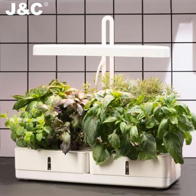 China J&C Hydroponic Minigarden Gelulv with Smart Soil - 2021 Smart Garden Herb Plant Pot Indoor Herb Garden Hydroponic Smart Kit for sale