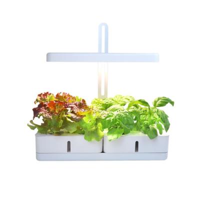 China Minigarden Small Size Adjustable Fresh Herb Garden Indoor Plant Grow Light Indoor Garden Grow Lights 2021 for sale