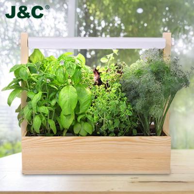 China J&C Decorative Minigarden Fawnel - Indoor Plant Stand with Grow Light Adjustable Spectrum Led Grow Lights 2021 for sale