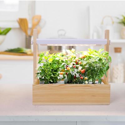 China Decorative High Quality J&C Minigarden Fawnel Garden Growing Kit 2021 Indoor System Wood Indoor Grass Planter for sale