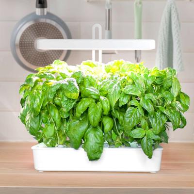 China J&C Minigarden Morino Indoor Hydroponic Smart Home Garden Hydroponic Free Growing System Amazon Shipping to USA 2021 for sale