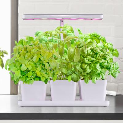 China Mini Garden Mini Solvang Adjustable Height Indoor Garden Micro Green Grow Kits Plant Herb Garden for sale