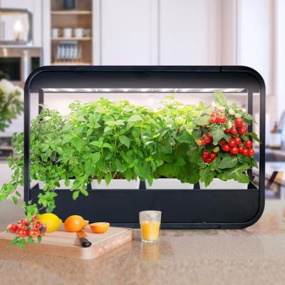 China Nordic Style Design Minigarden Koguva - Kitchen Grow Light Iron Material Plant To Grow Led Lights for sale