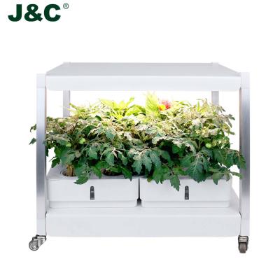 China Plants Growing J&C Minigarden Smart Tengata Grow Light Garden Hydroponic Indoor Hydroponic Smart Gardening Growing Systems 2021 for sale