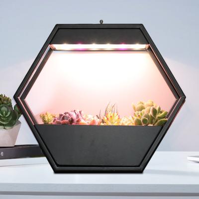 China Automatically Work J&C 14W Indoor Grass Growing System Smart Garden Products Led For Growing Light Plant for sale