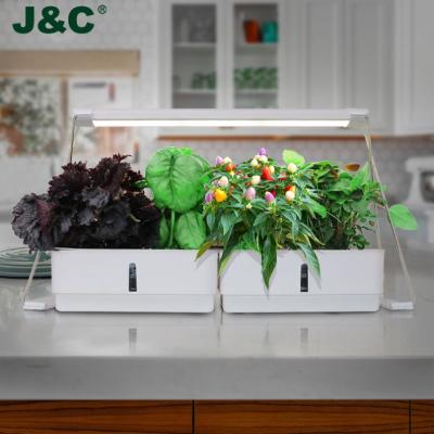 China Succulents Growing J&C Minigarden Smart Indoor Hydroponic Garden Grow System To Stand To Grow Light Garden For Herbs Plants 2022 for sale