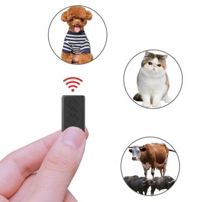 China Strong Magnetic Mini Gps Tracker Automotive Gps Tracker Kids Bike Gps Tracker Car for sale