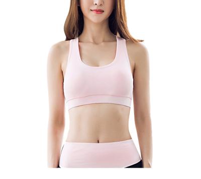 China Anti Wear QUICK DRY Running Fitness Yoga Sports Hot Sexy Breathable Bra for sale