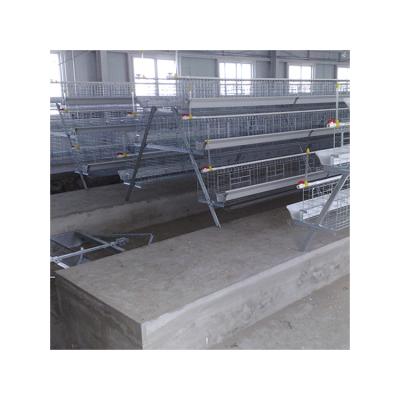 China Farms Use Long Life Galvanized Design A Type Layer Chicken Battery Cage for sale