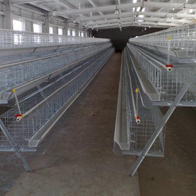 China Durable Customized Size Egg Chicken Case A Type Cage Design For Farm for sale