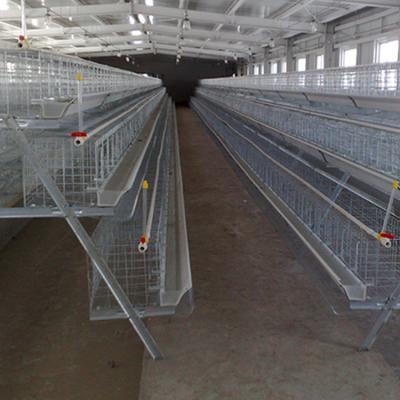 China Factory Price Durable Chinese One Layer Type Ladder Chicken Cage For Sale for sale