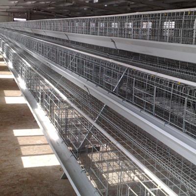 China Improve Productivity Efficiency Use Life Long Foil One Layer Chicken Cage Type Price for sale