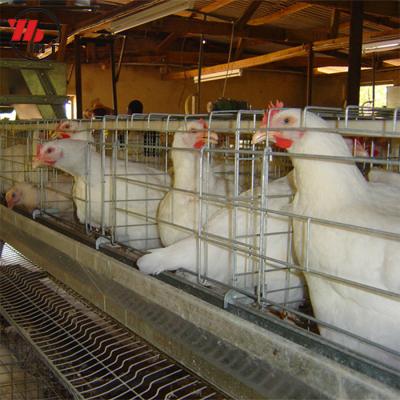 China Improve Automatic Layer Egg Cages Productivity Efficiency A Type A Cage for sale