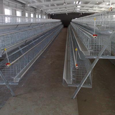 China Durable Top Quality Automatic Hanging Feeder Poultry Chicken for sale