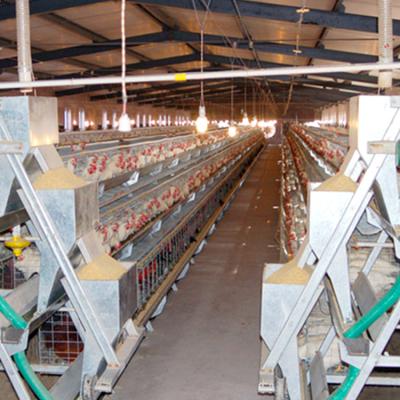 China Durable A Type Large Metal Chicken Cages For Layer for sale