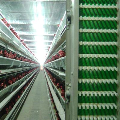 China Commercial Use Long Life Advanced Automatic Farm Chicken Layer Cage For Sale for sale