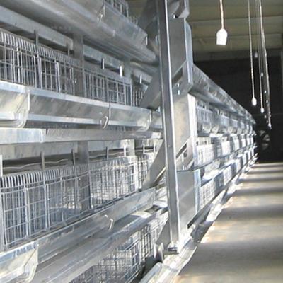 China Commercial Layer Chicken Farm China Supplier H Type Chicken Breeding Cage for sale