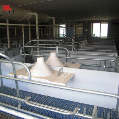 China Farms Save Money Pig Farrowing Crate On Farm Equipment For Sale In China for sale